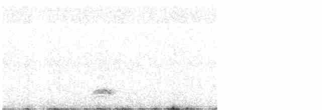 Black-crowned Night Heron - ML455647431