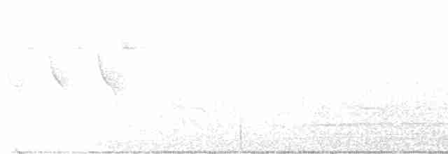 Eurasian Bullfinch - ML455665351