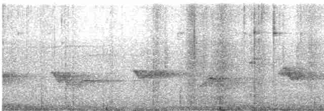 Чернокрылая пиранга - ML455720031