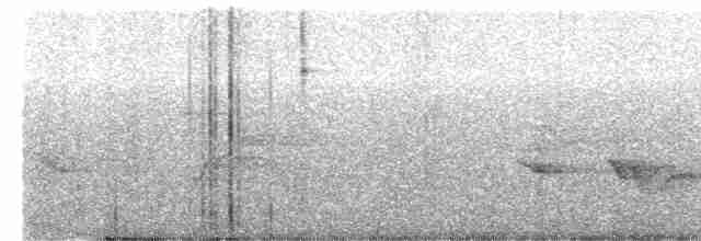 Чернокрылая пиранга - ML455720061
