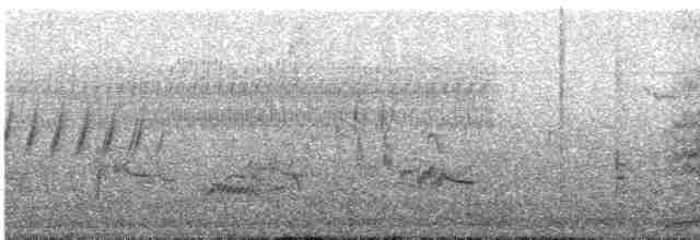 Eurasian Collared-Dove - ML455721471