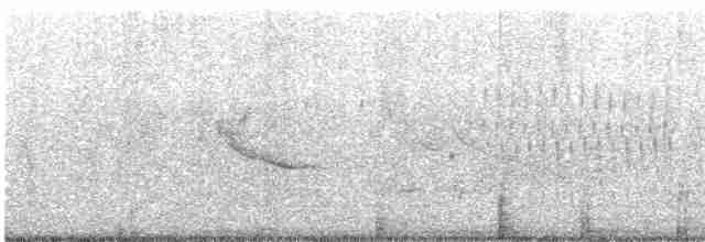Marsh Wren (palustris Group) - ML455732721