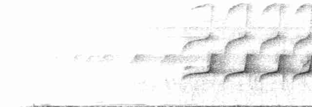 Weißkehl-Ameisenvogel - ML455757511