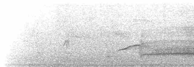 White-tailed Kite - ML455768701