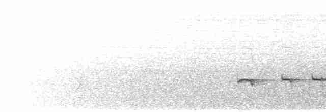 Strichelschulter-Ameisenschnäpper - ML455786751