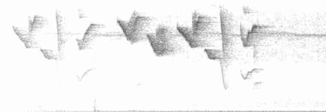 Гвианский колибри-отшельник - ML455787131