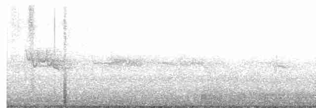 Graumantel-Brillenvogel - ML455794521