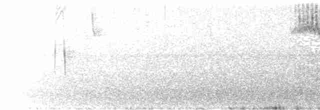 Kestane Kanatlı Sinklot - ML455861001