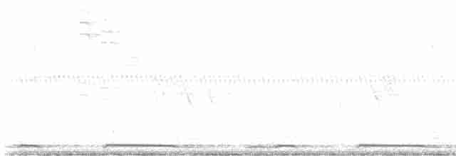 Белокрылая горлица - ML455903071