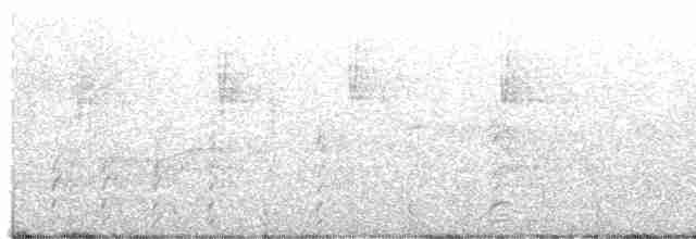 Common Gallinule - ML456003571