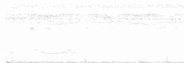 Дрімлюга юкатанський - ML456006501