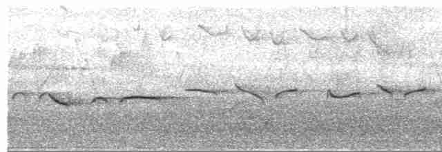 Papamoscas Vívido (oatesi) - ML456044151