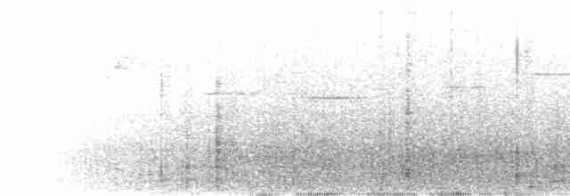 holub běloprsý - ML456066331