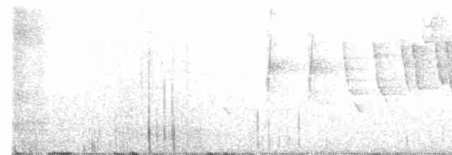 Black-throated Gray Warbler - ML456078641