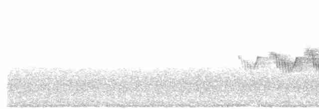 Cerulean Warbler - ML456168651