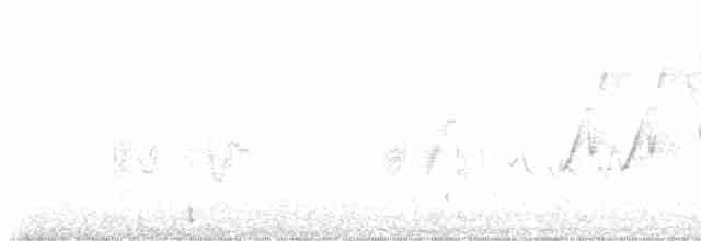 Черногорлая хвойница - ML456205801