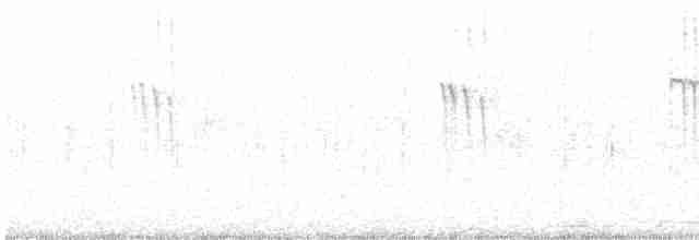 Işıldayan Kolibri - ML456261421