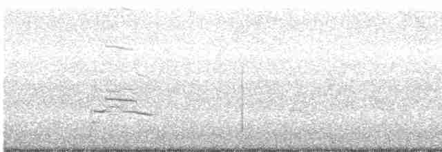 Gaviota Occidental x de Bering (híbrido) - ML456262151