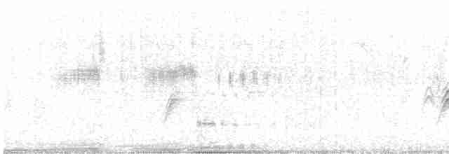 Schwarzkinnkolibri - ML456262701