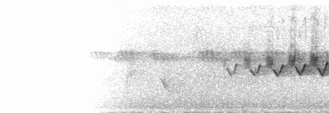 Cerulean Warbler - ML456317061