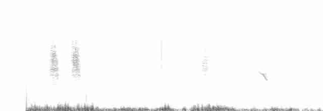 Kara Kulaklı Kuyrukkakan - ML456324071