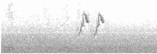 White Wagtail (Hodgson's) - ML456335961