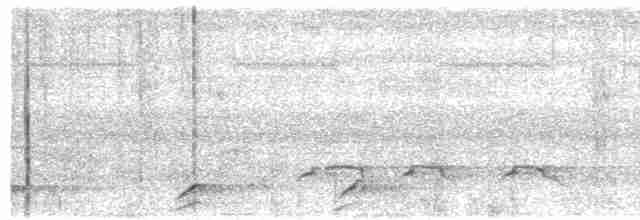 svartskrike (leucopterus) (hvitvingeskrike) - ML456345991