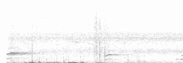 svartskrike (leucopterus) (hvitvingeskrike) - ML456381001