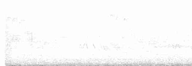 Чернокрылая пиранга - ML456414641