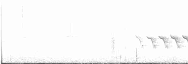 キヅタアメリカムシクイ（coronata） - ML456472521