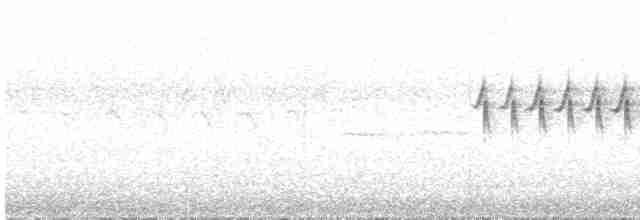 Kara Gözlü Junko (hyemalis/carolinensis) - ML456513381
