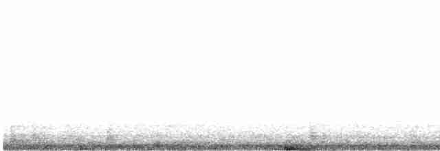 holub běloprsý - ML456581771