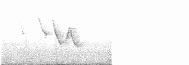Reinita de Manglar (aureola) - ML456602551