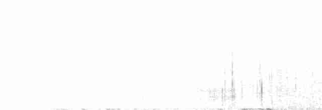 Дрізд-короткодзьоб канадський - ML456617091