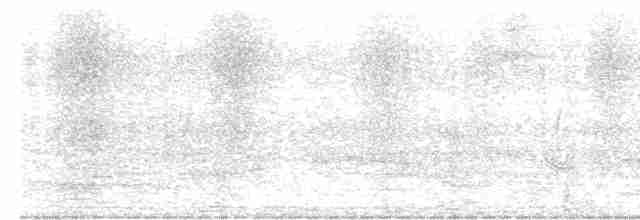 Малабарская нектарница - ML456619451
