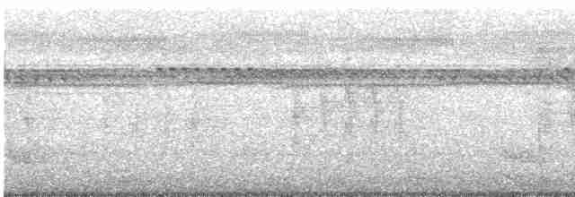 Méliphage de Viti Levu - ML456672471