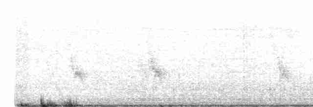 Eurasian Collared-Dove - ML456767061