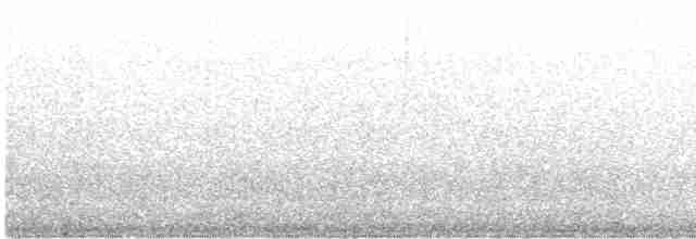 strnadec bělohrdlý - ML456772201