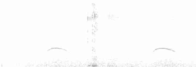 White-crested Elaenia - ML45682511
