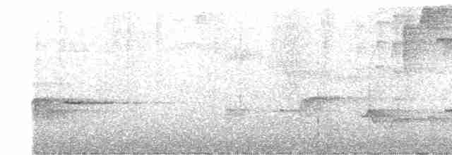 Серогрудый крапивник - ML456978141