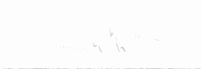 Трав’янка лучна - ML457054961