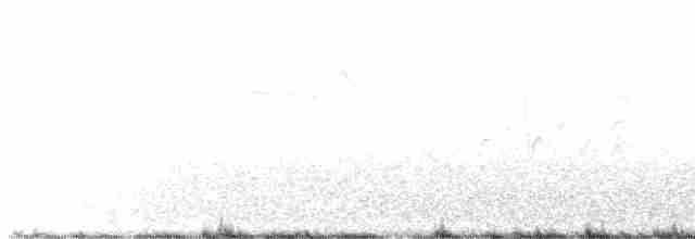 Arctic Tern - ML457055441