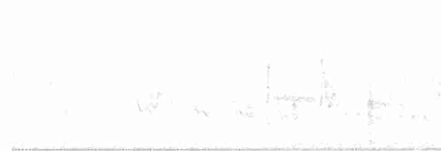 Warbling Vireo (Eastern) - ML457115001