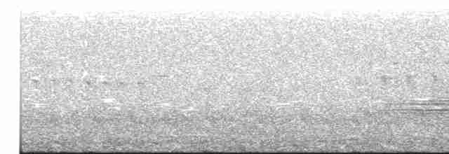 Turuncu Ardıç - ML457150901