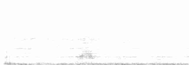 Косар білий - ML457167821