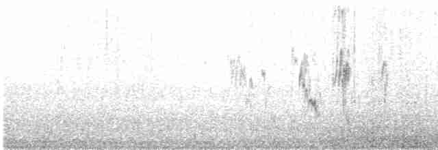 Pipit antarctique - ML457210841