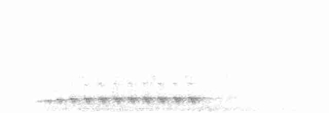 White-throated Nightjar - ML45742211