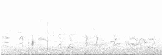 Great Reed Warbler - ML457462041