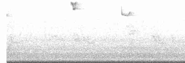 Rufous Hummingbird - ML457507531
