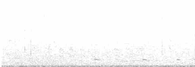 Cisne Cuellinegro - ML457575161